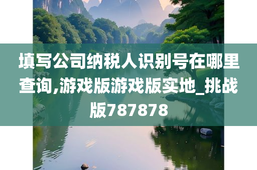 填写公司纳税人识别号在哪里查询,游戏版游戏版实地_挑战版787878