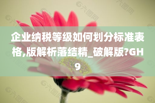 企业纳税等级如何划分标准表格,版解析落结精_破解版?GH9