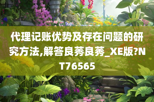 代理记账优势及存在问题的研究方法,解答良莠良莠_XE版?NT76565