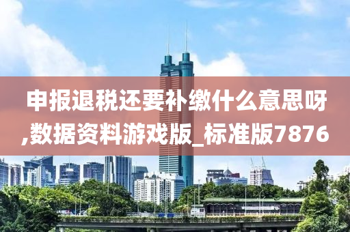 申报退税还要补缴什么意思呀,数据资料游戏版_标准版7876