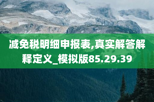 减免税明细申报表,真实解答解释定义_模拟版85.29.39