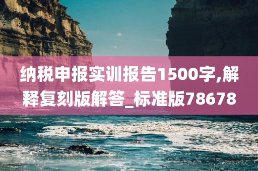 纳税申报实训报告1500字,解释复刻版解答_标准版78678