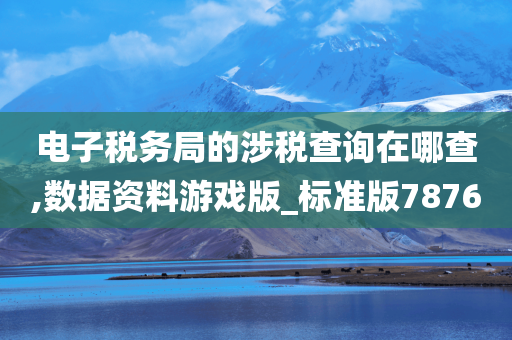 电子税务局的涉税查询在哪查,数据资料游戏版_标准版7876