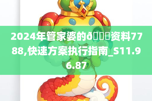 2024年管家婆的🐎资料7788,快速方案执行指南_S11.96.87