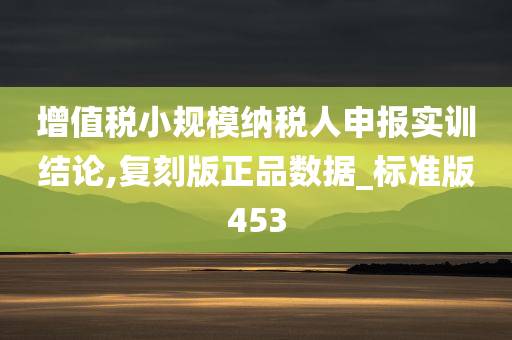 增值税小规模纳税人申报实训结论,复刻版正品数据_标准版453