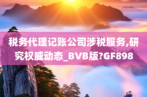 税务代理记账公司涉税服务,研究权威动态_BVB版?GF898