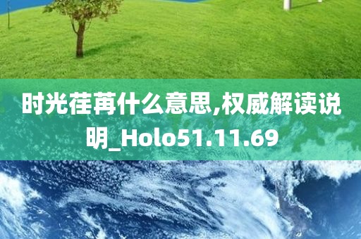 时光荏苒什么意思,权威解读说明_Holo51.11.69