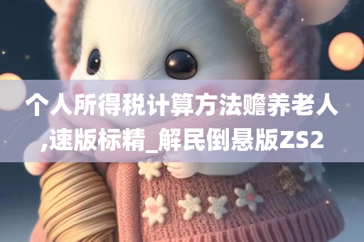 个人所得税计算方法赡养老人,速版标精_解民倒悬版ZS2