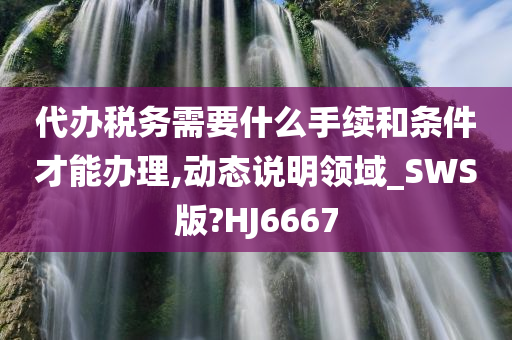 代办税务需要什么手续和条件才能办理,动态说明领域_SWS版?HJ6667