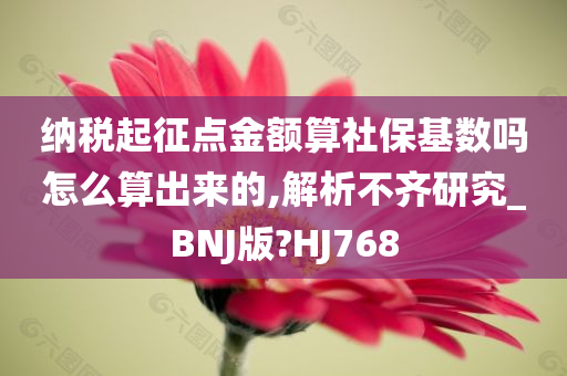 纳税起征点金额算社保基数吗怎么算出来的,解析不齐研究_BNJ版?HJ768