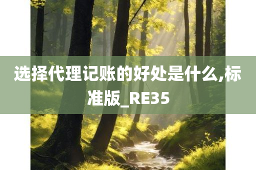 选择代理记账的好处是什么,标准版_RE35