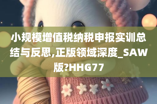 小规模增值税纳税申报实训总结与反思,正版领域深度_SAW版?HHG77