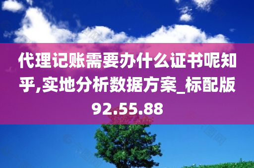 代理记账需要办什么证书呢知乎,实地分析数据方案_标配版92.55.88