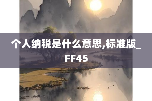 个人纳税是什么意思,标准版_FF45