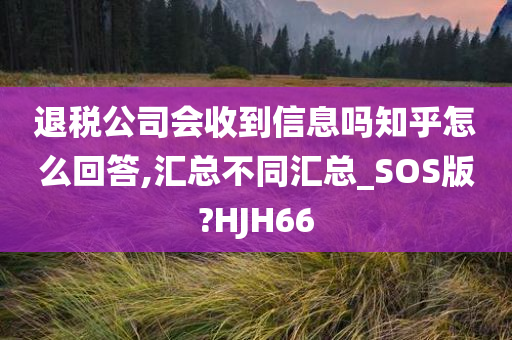 退税公司会收到信息吗知乎怎么回答,汇总不同汇总_SOS版?HJH66