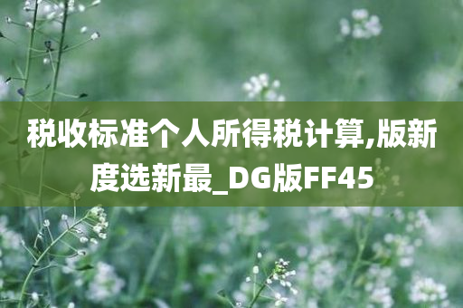 税收标准个人所得税计算,版新度选新最_DG版FF45