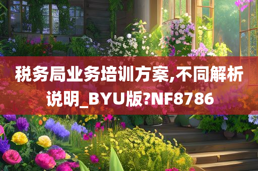 税务局业务培训方案,不同解析说明_BYU版?NF8786