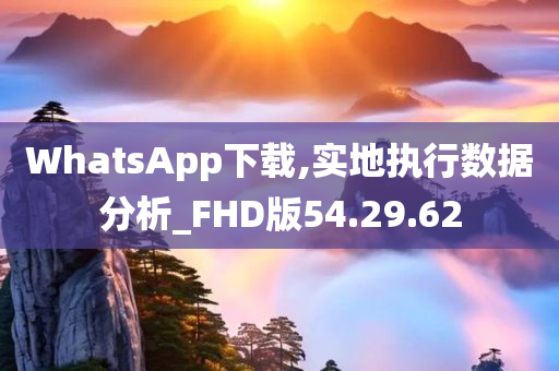 WhatsApp下载,实地执行数据分析_FHD版54.29.62