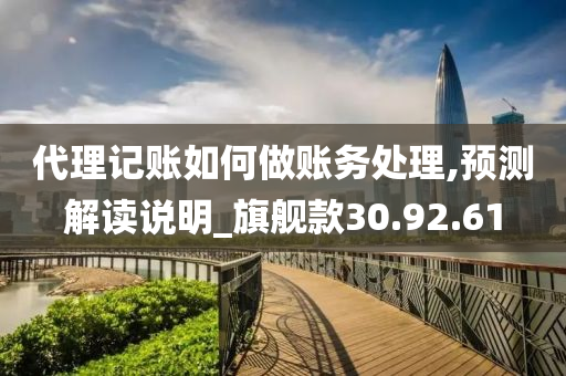 代理记账如何做账务处理,预测解读说明_旗舰款30.92.61