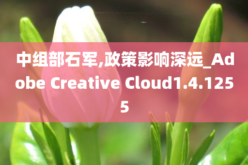 中组部石军,政策影响深远_Adobe Creative Cloud1.4.1255