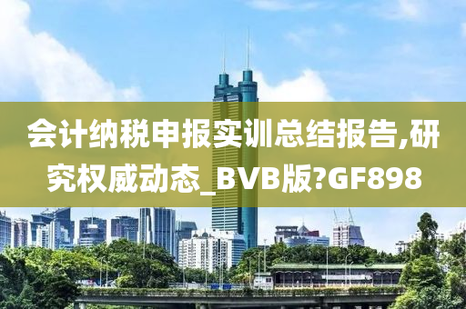 会计纳税申报实训总结报告,研究权威动态_BVB版?GF898