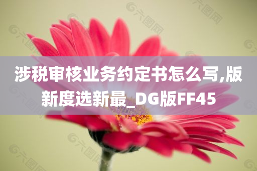 涉税审核业务约定书怎么写,版新度选新最_DG版FF45