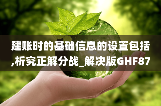 建账时的基础信息的设置包括,析究正解分战_解决版GHF87