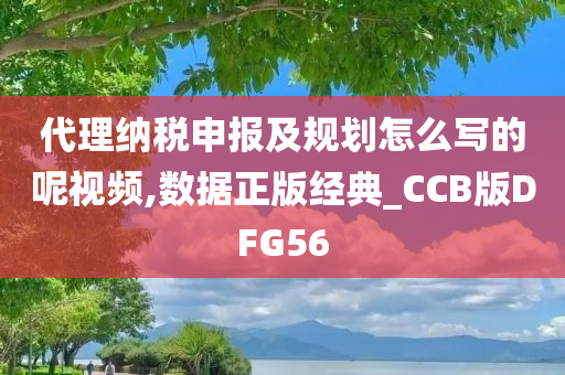 代理纳税申报及规划怎么写的呢视频,数据正版经典_CCB版DFG56