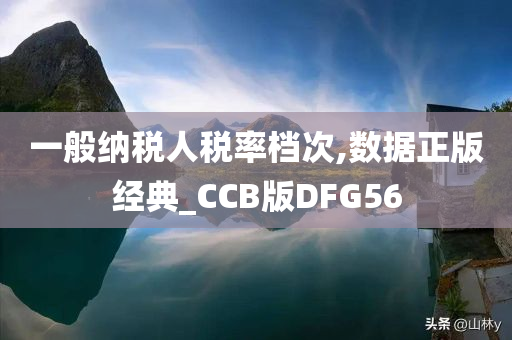 一般纳税人税率档次,数据正版经典_CCB版DFG56