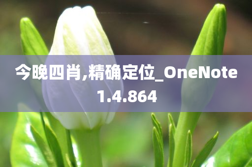 今晚四肖,精确定位_OneNote1.4.864