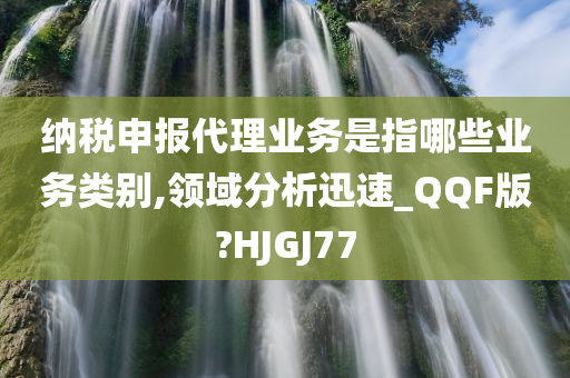 纳税申报代理业务是指哪些业务类别,领域分析迅速_QQF版?HJGJ77