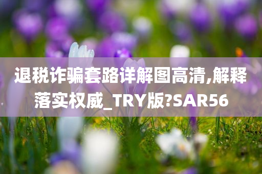 退税诈骗套路详解图高清,解释落实权威_TRY版?SAR56