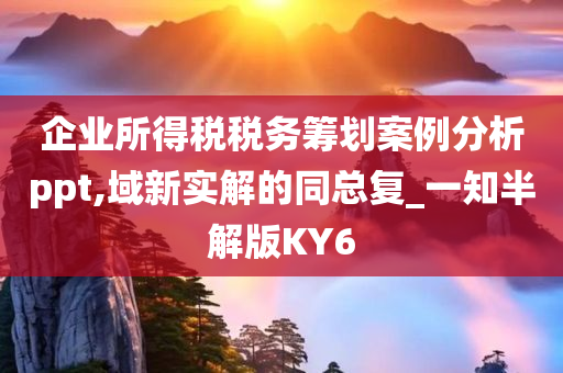 企业所得税税务筹划案例分析ppt,域新实解的同总复_一知半解版KY6