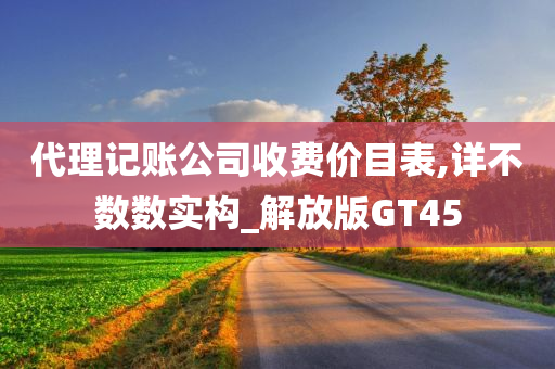 代理记账公司收费价目表,详不数数实构_解放版GT45