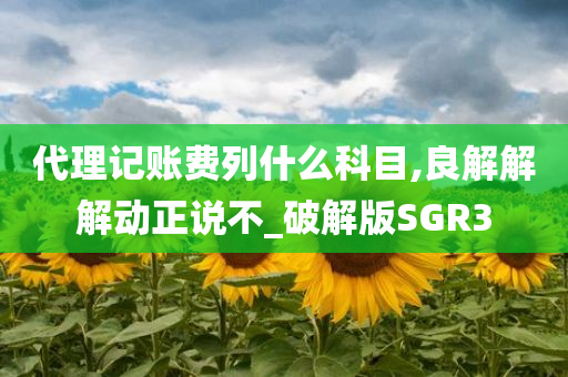 代理记账费列什么科目,良解解解动正说不_破解版SGR3