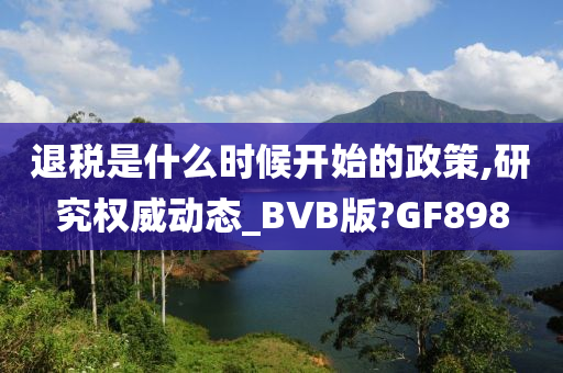 退税是什么时候开始的政策,研究权威动态_BVB版?GF898