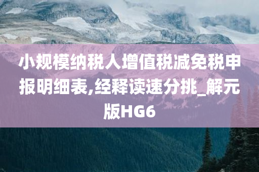 小规模纳税人增值税减免税申报明细表,经释读速分挑_解元版HG6