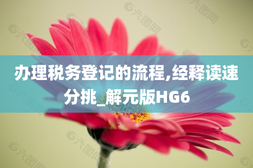 办理税务登记的流程,经释读速分挑_解元版HG6