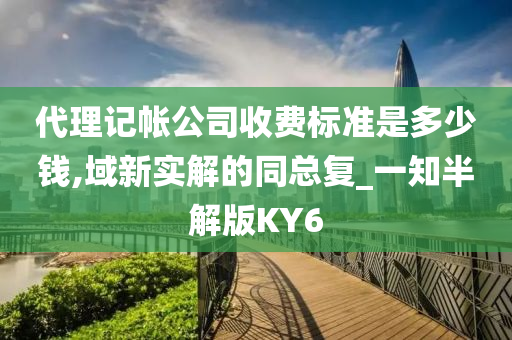 代理记帐公司收费标准是多少钱,域新实解的同总复_一知半解版KY6