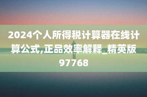 2024个人所得税计算器在线计算公式,正品效率解释_精英版97768