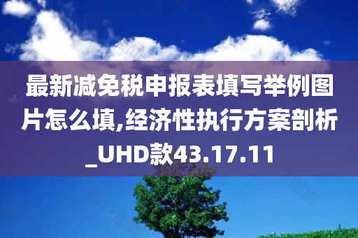 最新减免税申报表填写举例图片怎么填,经济性执行方案剖析_UHD款43.17.11