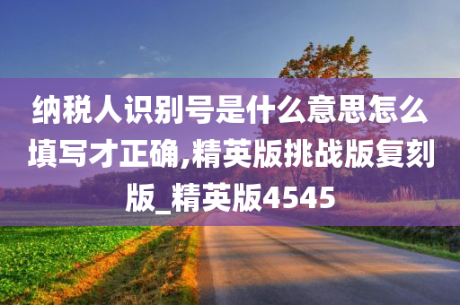 纳税人识别号是什么意思怎么填写才正确,精英版挑战版复刻版_精英版4545