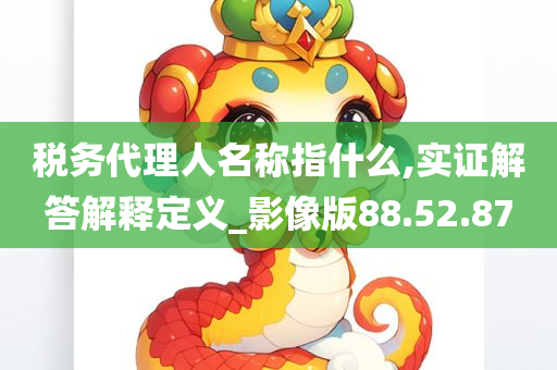 税务代理人名称指什么,实证解答解释定义_影像版88.52.87