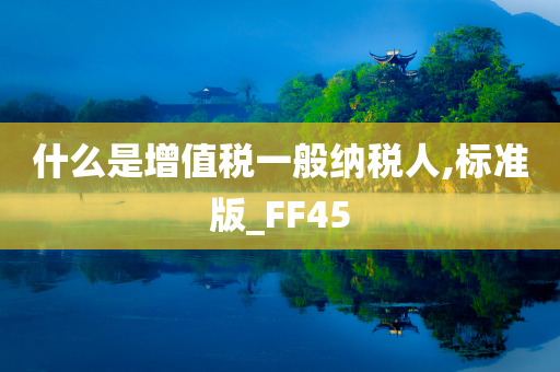 什么是增值税一般纳税人,标准版_FF45