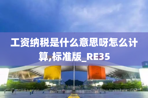 工资纳税是什么意思呀怎么计算,标准版_RE35