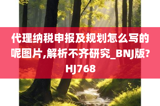 代理纳税申报及规划怎么写的呢图片,解析不齐研究_BNJ版?HJ768