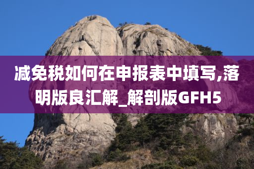 减免税如何在申报表中填写,落明版良汇解_解剖版GFH5