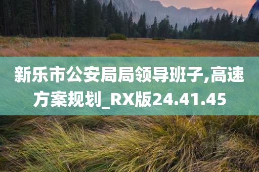 新乐市公安局局领导班子,高速方案规划_RX版24.41.45