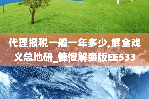 代理报税一般一年多少,解全戏义总地研_慷慨解囊版EE533