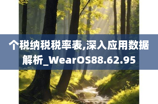 个税纳税税率表,深入应用数据解析_WearOS88.62.95